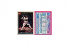 1991-topps-micro-79.jpg