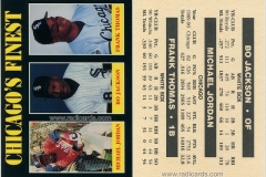 unlicensed-1991-chicagos-finest