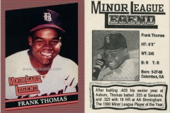 unlicensed-1991-minor-league-legend